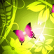 Papillon zen sur motifs fleuris