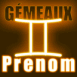 N�on zodiaque g�meaux