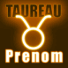 N�on zodiaque taureau