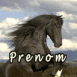 Cheval cabr�