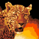 L�opard flamboyant 
