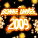 Feu d'artifice "Bonne ann�e 2009"