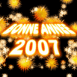 Feu d'artifice "Bonne ann�e 2007"