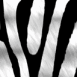Peau de z�bre